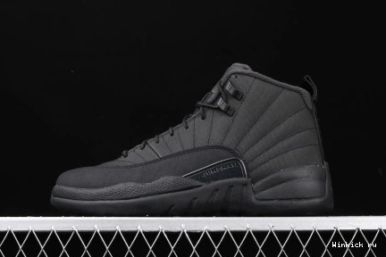 WINTERIZED ANTHRACITE JORDAN BLACK AIR 12 0803